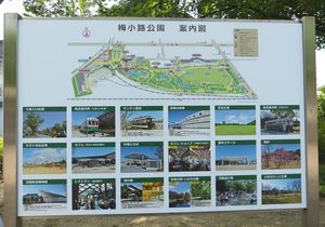 160522-01.JPG