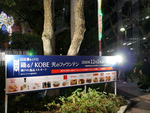 161210-01.JPG