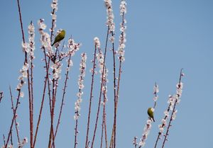 180314-05.JPG